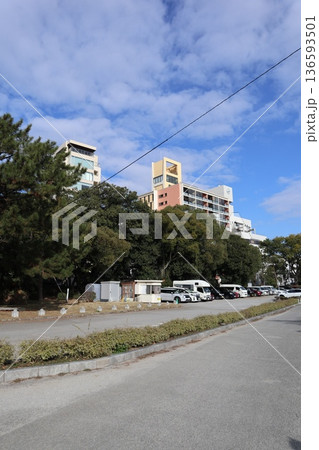 2024年・福岡・福岡市・風景・中央区大濠公園・大濠公園・其の五十一 136593501