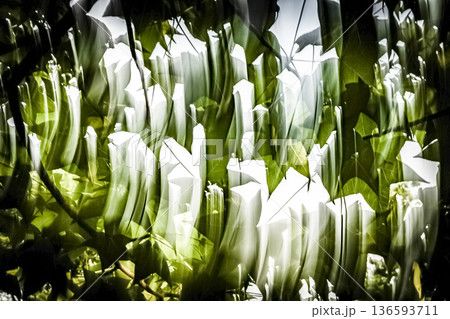 揺れる葉っぱの抽象的表現 136593711