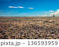Minimal sandy beach landscape with blue sky and copy space 136593959