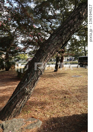 2024年・福岡・福岡市・風景・中央区大濠公園・大濠公園・其の五十五 136594027