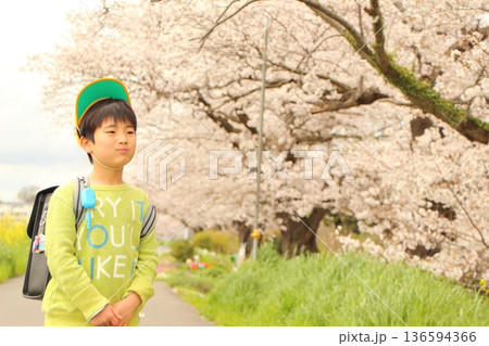 ランドセルを背負った小学生 136594366