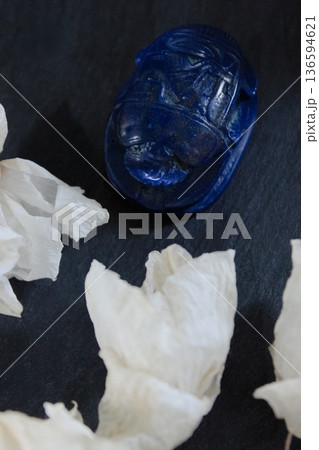 Top view of blue lapis lazuli scarab beetle surrounded by white dried petals on dark stone surface. 136594621