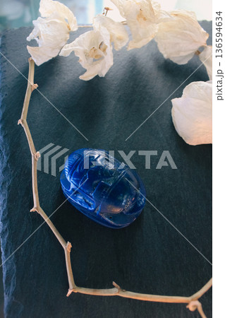 Lapis lazuli scarab beetle on dark slate surrounded by white petals and dry branches, sacred symbol. 136594634