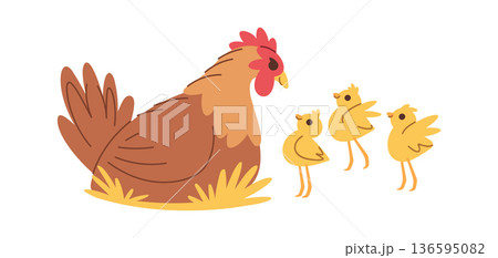 Cute hen with chicken family Cute hen with chicken family 136595082