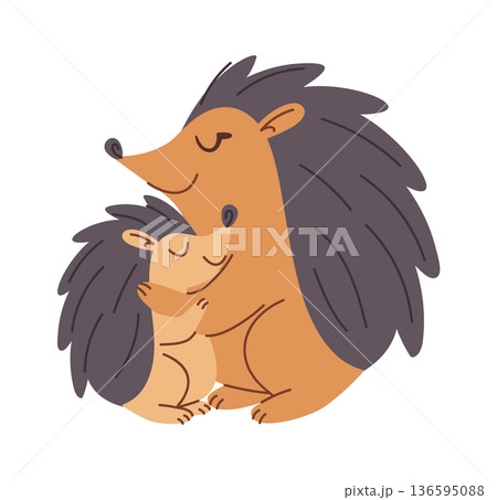 Hedgehog mother and baby hugging 136595088