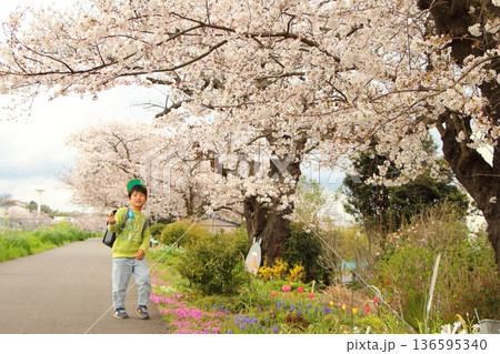 ランドセルを背負った小学生 136595340