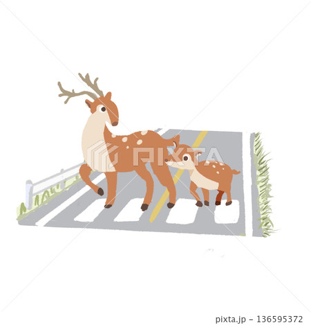横断歩道を渡る鹿の親子 交通安全と野生動物飛び出し注意イラスト 横断歩道を渡る鹿の親子 交通安全と野生動物飛び出し注意イラスト 136595372