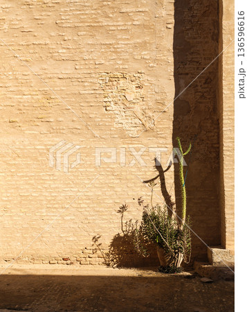 Timeless Paths: A Journey Through Kairouan Ancient Medina Timeless Paths: A Journey Through Kairouan Ancient Medina 136596616