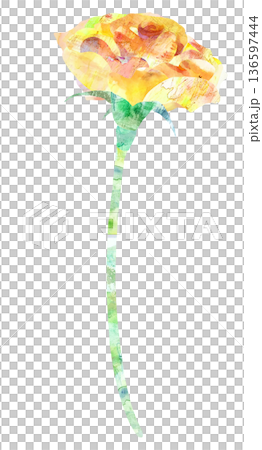 水彩コラージュの葉なし黄色のバラ一輪挿し 136597444