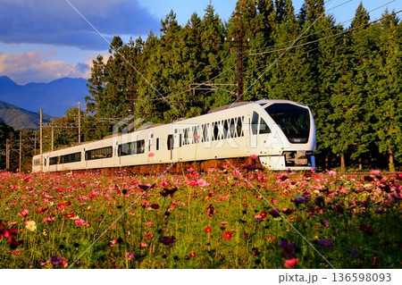 秋桜の鬼怒川路を駆ける… 東武特急【スペーシアX】N100系 136598093