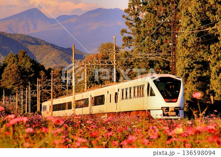 秋桜の鬼怒川路を駆ける… 東武特急【スペーシアX】N100系 136598094