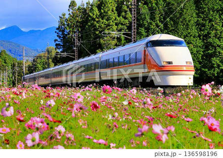 秋桜の鬼怒川路を駆ける… 東武特急【スペーシア】100系 136598196