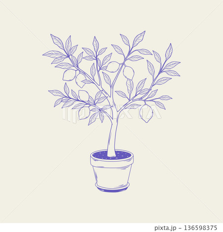 Hand-drawn lemon tree in a pot. Monochrome vector illustration of Mediterranean summer fruit. Perfect for packaging, kitchen decor, posters, and botanical design. Hand-drawn lemon tree in a pot. Monochrome vector illustration of Mediterranean summer fruit. Perfect for packaging, kitchen decor, posters, and botanical design. 136598375
