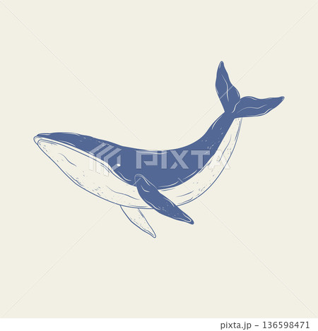 Hand-drawn blue whale icon. Marine animal. Monochrome blue ink. Vector illustration. 136598471