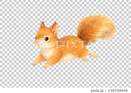 松鼠奔跑的風景水彩小動物可愛插圖剪貼畫素材 136599446