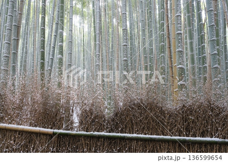 雪の竹の小径と竹垣穂 136599654