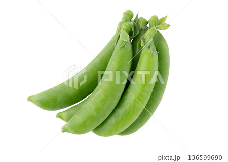 透明背景(png)にスナップエンドウ 透明背景(png)にスナップエンドウ 136599690