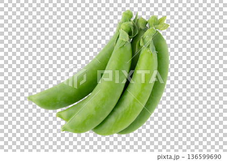 透明背景(png)にスナップエンドウ 透明背景(png)にスナップエンドウ 136599690