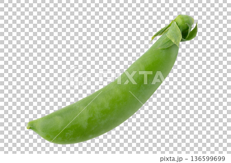 One snap pea (pod) on a transparent background (png) One snap pea (pod) on a transparent background (png) 136599699
