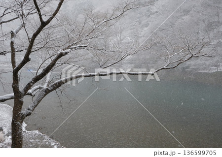雪降る大堰川の風景 136599705