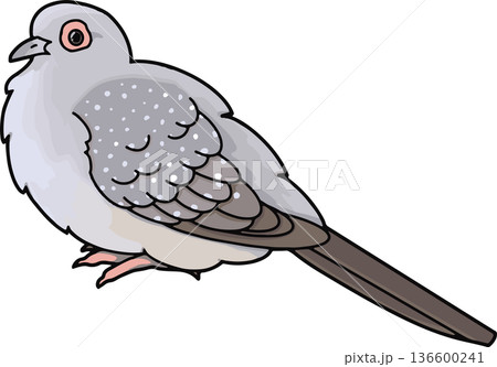 ウスユキバトのイラスト（横向き・透過背景） 136600241