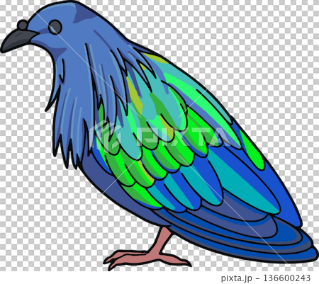 ミノバトのイラスト（横向き・透過背景） 136600243