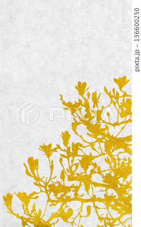 花咲くモクレンを金箔で描いた、和風のシルエットアート 136600250