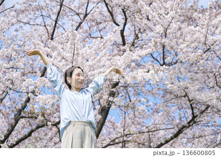 桜の前で伸びをする女性 桜の前で伸びをする女性 136600805