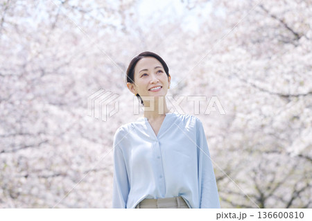 満開の桜と散歩する女性 満開の桜と散歩する女性 136600810