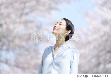 満開の桜と散歩する女性 満開の桜と散歩する女性 136600811