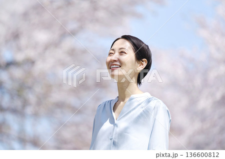 満開の桜と散歩する女性 136600812