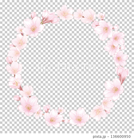 圓形邊框，內含手繪彩繪櫻花插圖 136600950