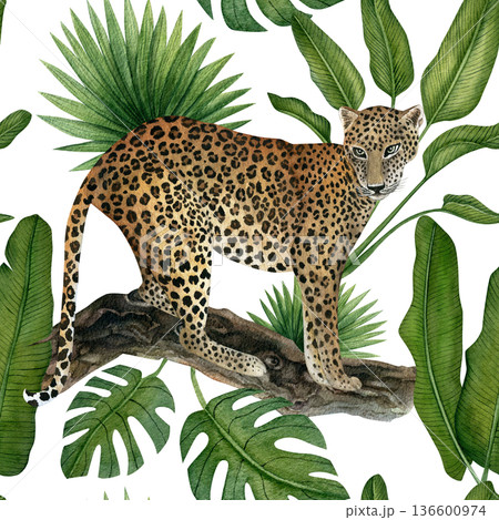 Leopard and tropical leaves seamless pattern. Hand-drawn watercolor illustrations isolated on a transparent background. Seamless pattern for textiles, wallpaper, prints, and banners Leopard and tropical leaves seamless pattern. Hand-drawn watercolor illustrations isolated on a transparent background. Seamless pattern for textiles, wallpaper, prints, and banners 136600974