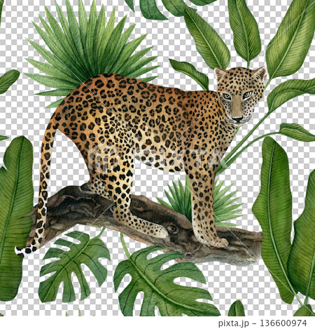 Leopard and tropical leaves seamless pattern. Hand-drawn watercolor illustrations isolated on a transparent background. Seamless pattern for textiles, wallpaper, prints, and banners Leopard and tropical leaves seamless pattern. Hand-drawn watercolor illustrations isolated on a transparent background. Seamless pattern for textiles, wallpaper, prints, and banners 136600974