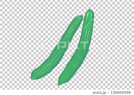 手繪兩根新鮮黃瓜插圖 136600999