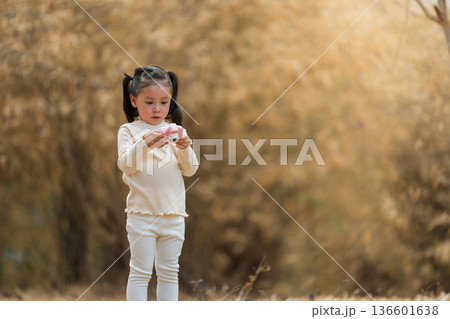little child girl focused on taking photos with her toy camera in the park or dry bamboo forest 136601638