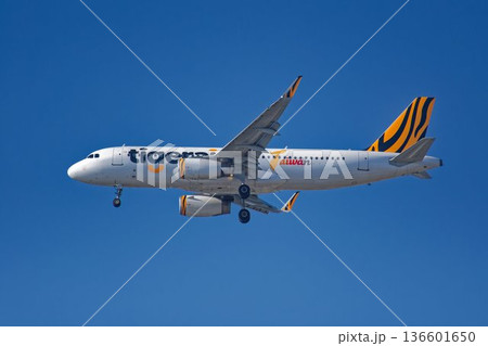 タイガーエア台湾の旅客機エアバスA320 136601650