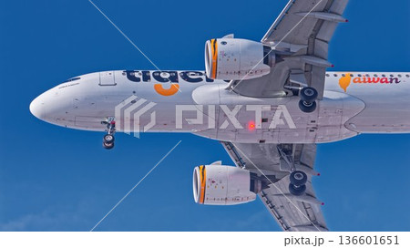 タイガーエア台湾の旅客機エアバスA320 タイガーエア台湾の旅客機エアバスA320 136601651