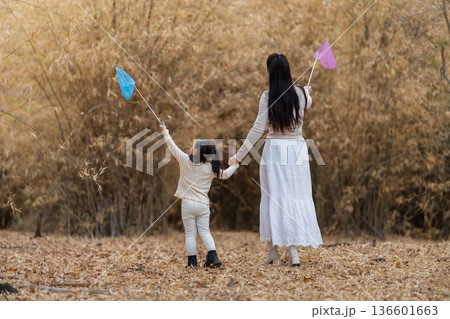 Mother and child girl walking in a dry field with colorful butterfly nets in forest. 136601663