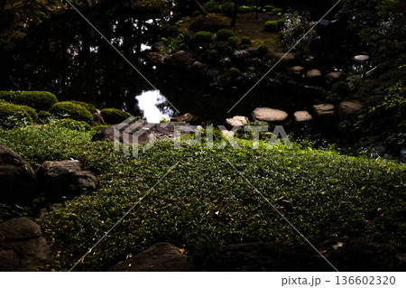 殿ヶ谷戸庭園 殿ヶ谷戸庭園 136602320