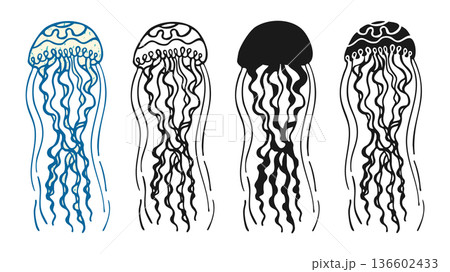 Jellyfish Illustration Set Hand Drawn Vintage Engraving Grunge Art Silhouette Marine Cartoon 136602433