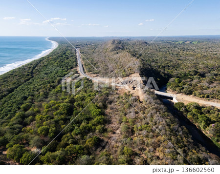 Coastal road beside forested area with mountain in the background Coastal road beside forested area with mountain in the background 136602560