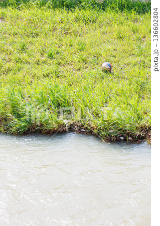 街の中を流れる小さい川のイメージ 136602804