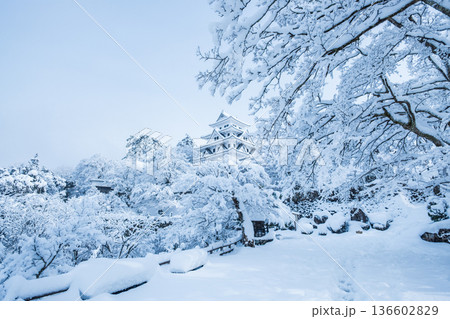 郡上八幡城（冬） 136602829
