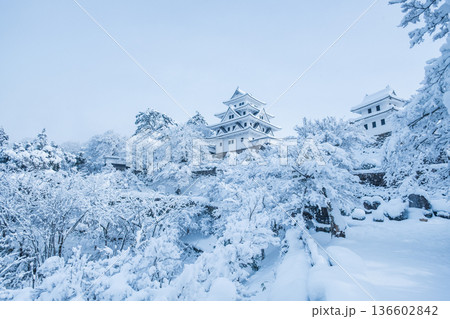 郡上八幡城（冬） 136602842