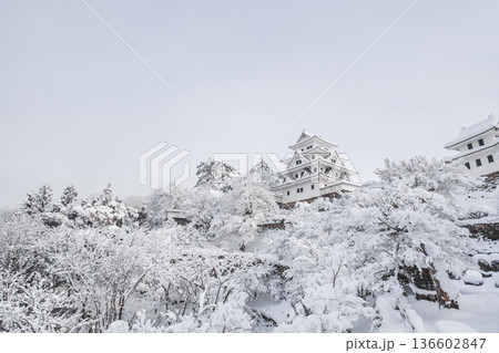 郡上八幡城（冬） 136602847