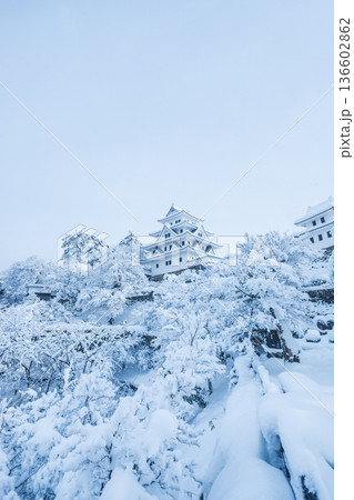 郡上八幡城(冬) 郡上八幡城(冬) 136602862