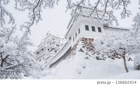郡上八幡城（冬） 136602914