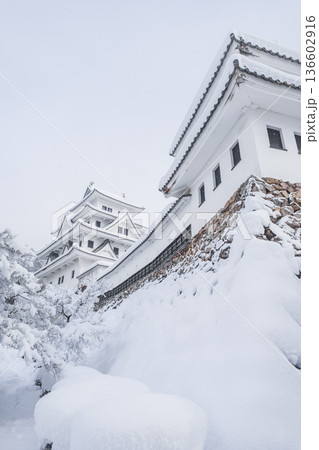 郡上八幡城（冬） 136602916