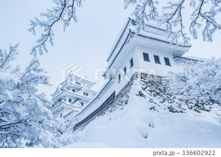 郡上八幡城（冬） 136602922